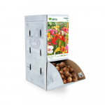 Margosios tigrenės svogūnėlis ASEJA Mix, 1 vnt., 7/9, Rackbox, 14738, (P)