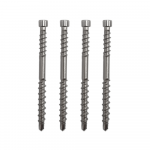 Terasiniai medsraigčiai FASTSHIFTER INVISIBLE, 4,5 x 60 mm, A4 nerūd. plieno, 600 vnt., TORX15
