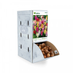 Iksijos svogūnėlis ASEJA Mix, 1 vnt., 5/+, Rackbox, 14769, (P)