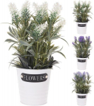 Dirbtinis auglalas baltame vazonėlyje LEVANDER