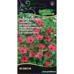 Didžiažiedžių linų sėklos RUBRUM, 0,5 g