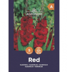 Didžiažiedžių kardelių svogūnėliai, lot. GLADIOLUS RED, 5 vnt
