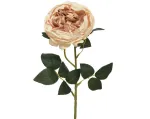 Kalėdinė dekoracija ROSE, &scaron;ampaninės sp., 10 x 10 x 60 cm