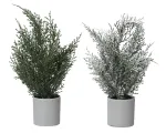 Kalėdinė dekoracija vazonėlyje MINI TREE, žalios/baltos sp., 2 ru&scaron;ys, 20 x 38 cm, 1 vnt