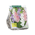 Kardelių svogūnėliai, lot. Gladiolus Pastel, 15 vnt.
