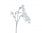 Dirbtinė &scaron;akelė SNOW BRANCH, baltos sp., 4 x 21 x 69 cm, 1 vnt