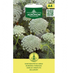 Amių datikrap&scaron;čių sėklos, 0,5 g