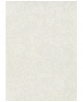Viniliniai tapetai flizelino pagrindu ERISMANN 1043501 Gentle, 10,05 m x 0,53 m
