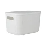 Plastikinė daiktadėžė su dangčiu HOME EXPERT, baltos sp.,13 l