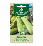 Cukinijų sėklos GENOVESE, 1,5 g