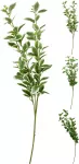 Dirbtinė &scaron;akelė GREEN, 86 cm