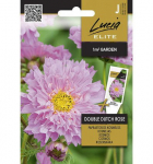 Paprastųjų kosmėjų sėklos DOUBLE DUTCH ROSE, 0,3 g