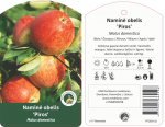 Vaismedis obelis PIROS, lot. MALUS DOMESTICA