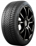 Dunlop Winter 225/35R19 88 W