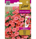 Petunijų- surfinijų sėklos VELVET H SALMON SHADES, 7 vnt