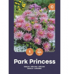 Žemaūgių dekoratyvinių jurginų svogūnėlis, lot. DAHLIA PARK PRINCESS, 1 vnt