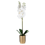 Dirbtinė gėlė vazonėlyje ILAJA ORCHID, baltos sp., 60 cm