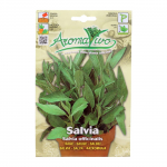 Vaistinių &scaron;alavijų sėklos, 0,25 g