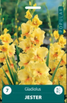 Kardelių svogūnėliai, lot. GLADIOLUS JESTER, 7 vnt.