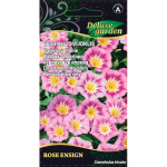 Trispalvių vijoklių sėklos ROSE ENSIGN, 1 g