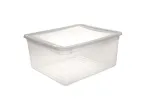 Plastikinė daiktadėžė su dangčiu Bea,skaidri, 18 l