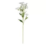 Dirbtinių gėlių puok&scaron;tė ILAJA Phlox, 4 spalvų, 75 cm