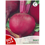 Raudonųjų burokėlių sėklos DETROIT, 10 g