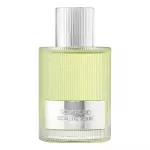 Kvepalai vyrams TOM FORD BEAU DE JOUR EDP, 100ML