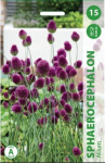 Kiau&scaron;ininių česnakų svogūnėliai, lot. ALLIUM SPHAEROCEPHALON, 15 vnt.