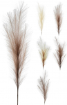 Dirbtinė augalo &scaron;akelė REED, 5 rū&scaron;ys, 101 cm