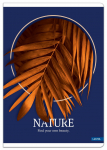 Sąsiuvinis NATURE, A5 52 lapai 70 g