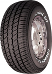Cooper Cobra Radial G/T 245/60 R15 100 T