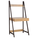 Ra&scaron;omasis stalas STEP, su lentyna, 74x48x146.5 cm, ąžuolo