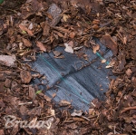 Agroplėvelė nuo piktžolių Bradas, 70 g/m&sup2;, 3.2 x 100 m, juoda