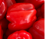 Raudonosios paprikos daigas QUADRATO ROSSO