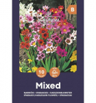 Sparaksių svogūnėliai, MIX 10 vnt