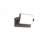 Sieninis LED lauko &scaron;viestuvas TRIO KANSAS 10W 3000K 1000lm 10x20x15cm su judesio davikliu
