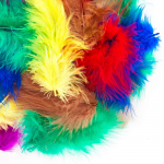 Plunksnos, 5-12 cm, 5 g, basic