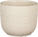 Keraminis vazonas SARA, &scaron;viesios sp., 16 x 16 cm