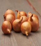 &Scaron;alotinių svogūnų sodinukai GOLDEN GOURMET, 7 - 14 mm, 0,5 kg
