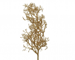 Kalėdinė dekoracija EVERLANDS Branch, auksinės sp., 20 x 12 x 84 cm, 1 vnt