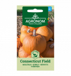 Moliūgų sėklos CONNECTICUT FIELD, 0,5 g