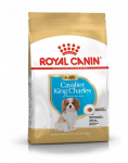 ROYAL CANIN Cavalier King Charles Spaniel Puppy Sausas maistas &scaron;uniukams iki 10 mėnesių, veislė &ndash; kavalieriaus karolio spanielis, 2 x 1,5 kg