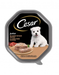 CESAR Junior 150 g kalakutienos ir ver&scaron;ienos pa&scaron;tetas &scaron;uniukams