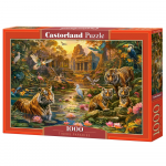 Castorland dėlionė  Tigers Paradise 1000 det.