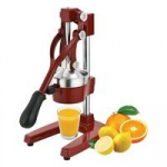 Profesionali citrusinių vaisių sulčiaspaudė ZYLE ZY501RCJ