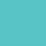 Superior popierinis fonas 2,72x11m Alpine