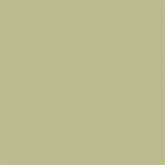 Superior popierinis fonas 2,72x11m Tropical Green