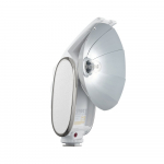 Godox blykstė Lux Senior Grey