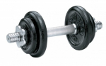 Ketaus svarmuo / hantelis SPORTBAY 10 kg